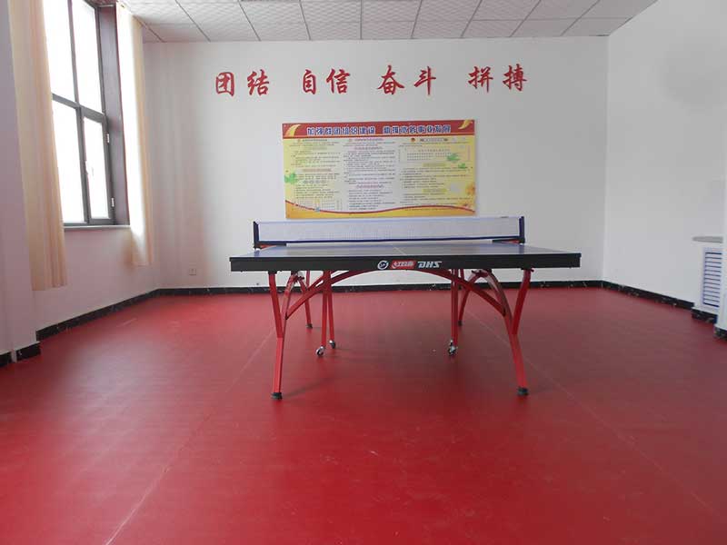 北京首鋼技術研究院乒乓球地膠 北京首鋼技術研究院乒乓球地膠