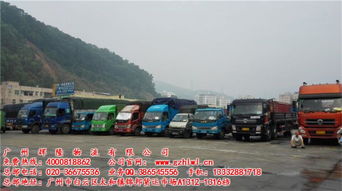 物流配送,行業(yè)內(nèi)全國(guó)領(lǐng)先,佛山禪城廣東東莞物流貨運(yùn)專線